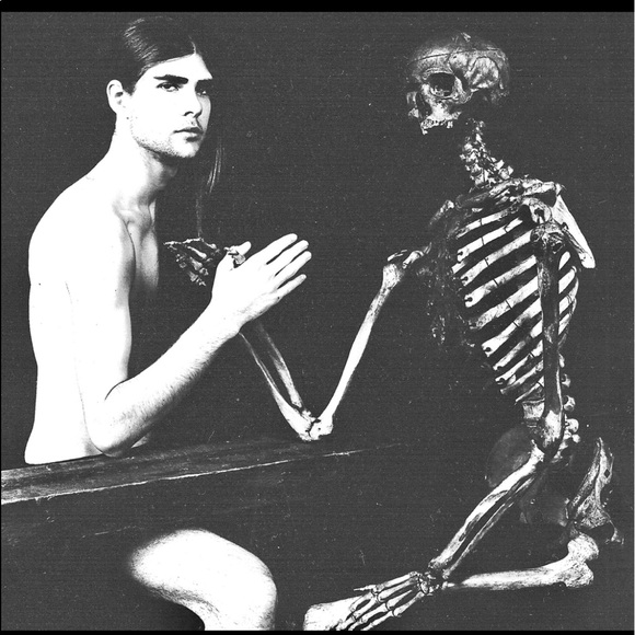 Meet your Posher, Leila - Picture 10 of 11